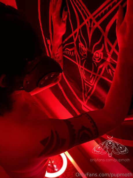 Pupmoth perfect pornstar pictures