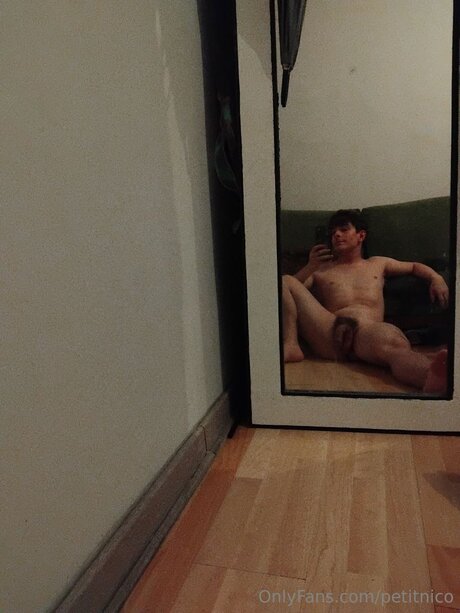 Petitnico pornstar art images