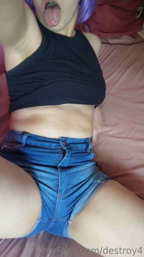 Destroy4 pornographic star gallery