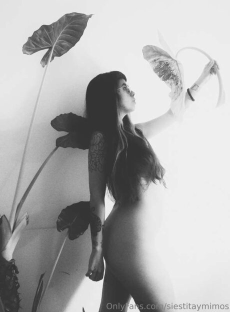 Siestitaymimos model best photo