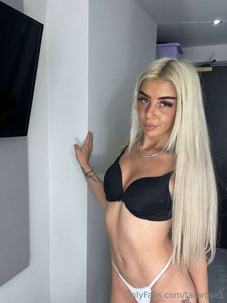 Tararose1 star art img