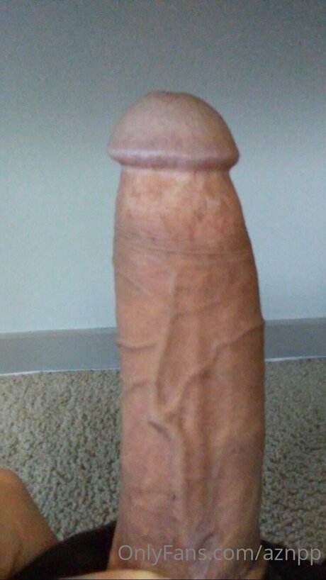 Aznpp pornstar erotic pictures