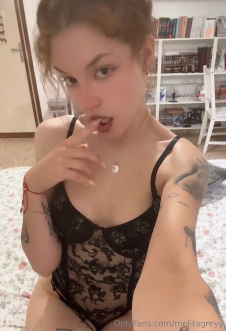 Melitagreyy star adult photo