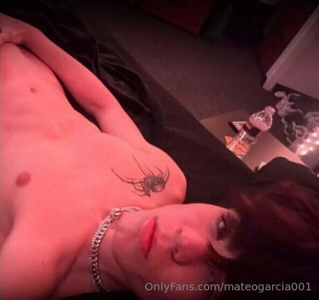 Mateogarcia001 pornographic model photo