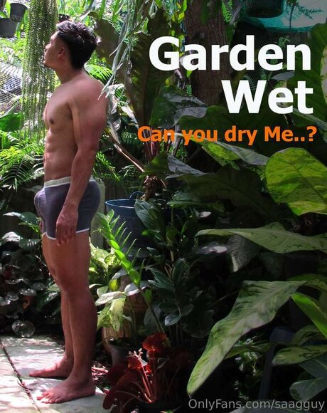 Saagguy star galleries