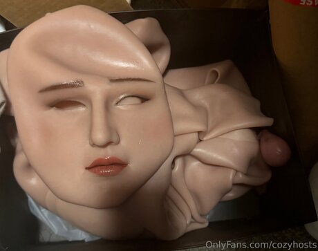 Cozyhosts pornstar nude img