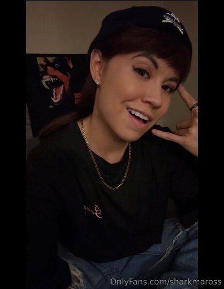 Sharkmaross art star galleries