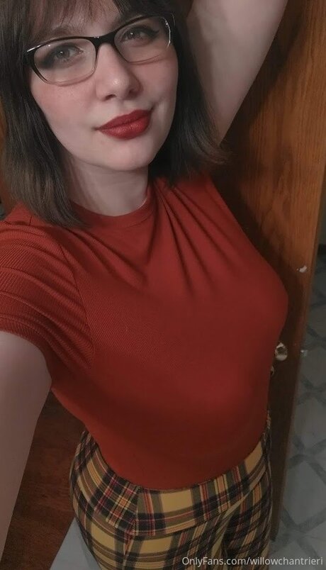 Willowchantrieri high quality pornstar picture