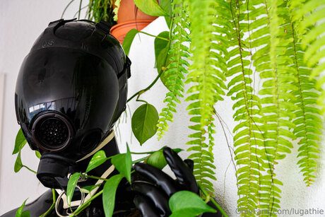 Lugathie perfect pornstar img