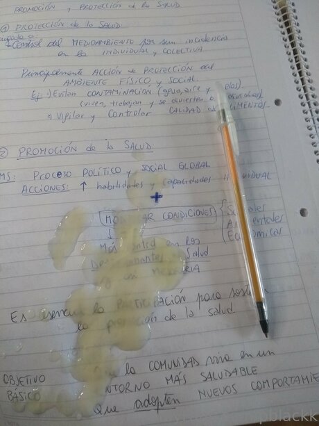 Pierconte adult star gallery