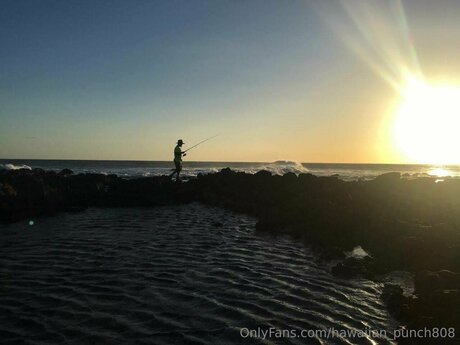 Hawaiian Punch808 model perfect pics