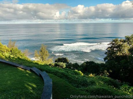 Hawaiian Punch808 xxx actress pictures