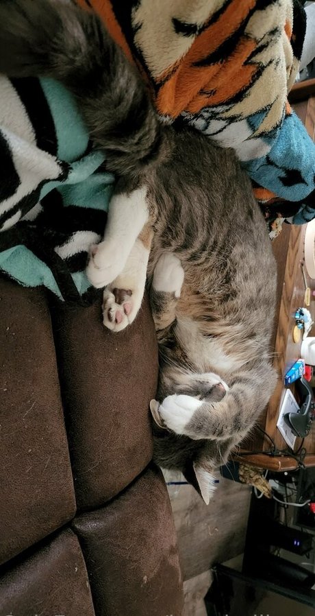 izzy hellbourne model xxx picture