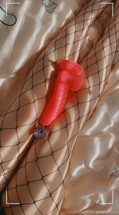 phatcatsama model free picture