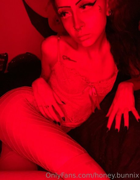 honey bunnix star nice images