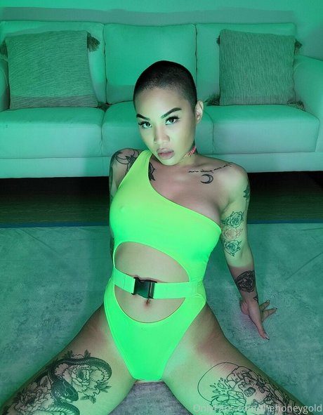 thehoneygold star nice galleries