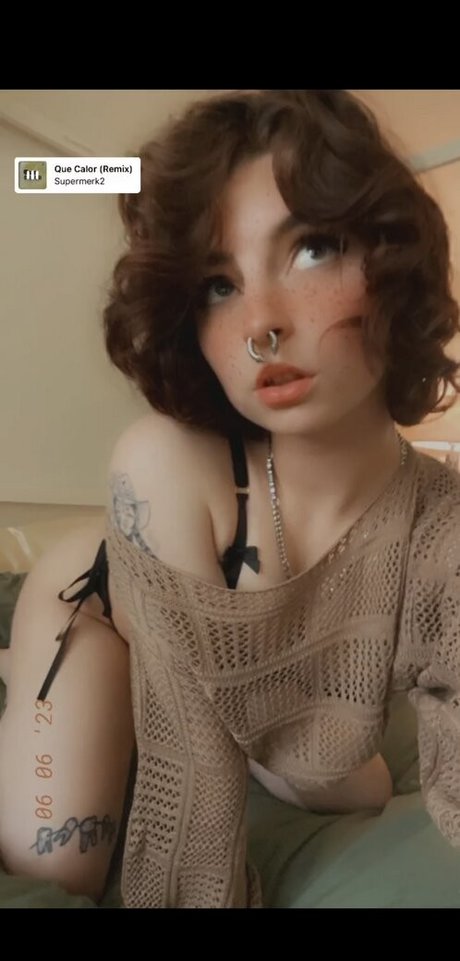 Ltlyata star exclusive archive