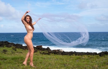 Dane Halo star adult image