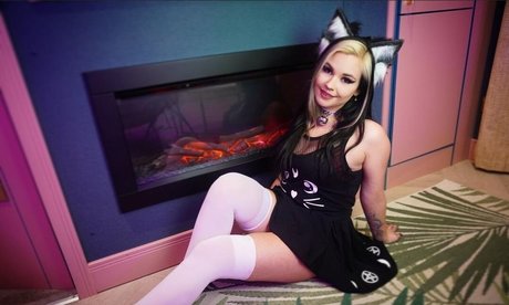 Dog Biscuits hot star images