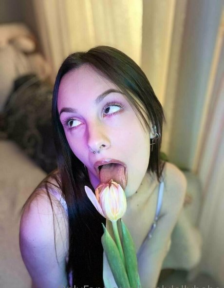 novaseren Quick model image