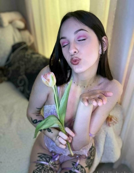 novaseren model top image