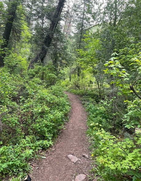 crystallizedfairy nudes pornstar archive