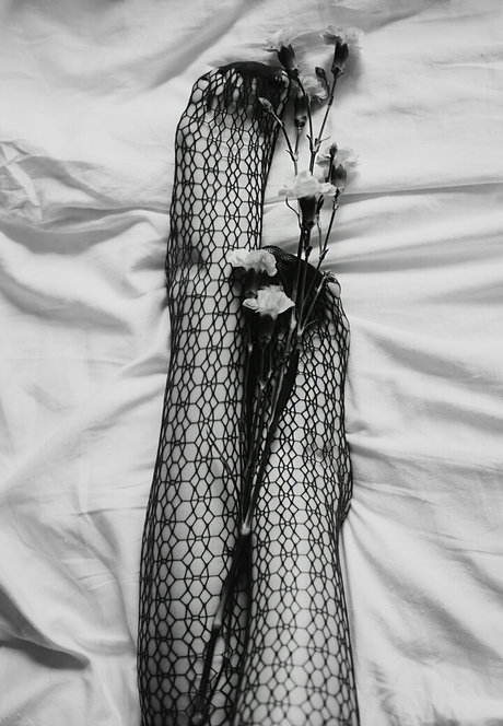 jinadaisy star sexy pictures