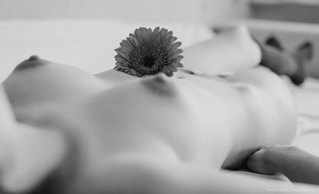 jinadaisy xxx star photo