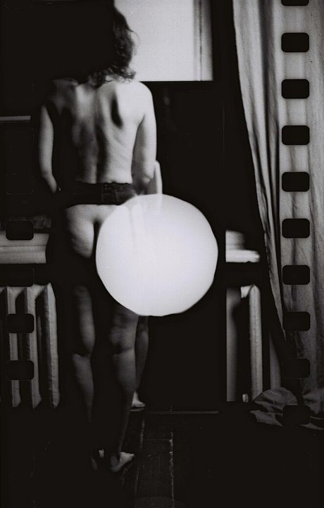 jinadaisy star pretty picture