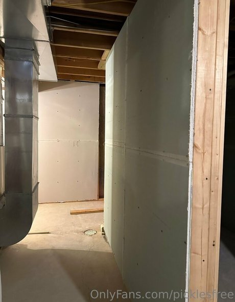 picklesfree star hd image