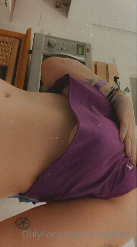 robinginger model top img