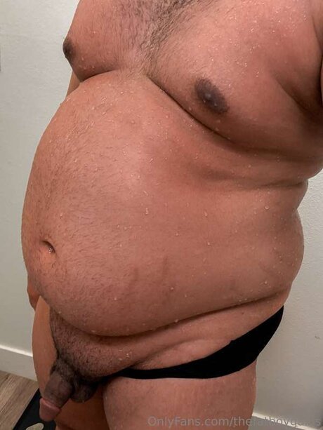 Thefatboygains porn star galleries