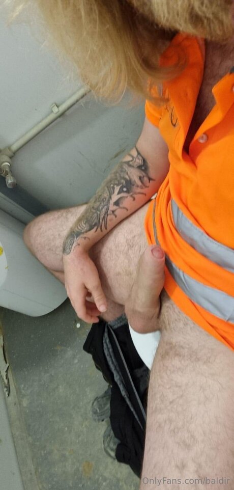 Baldir pornstar beautiful pictures