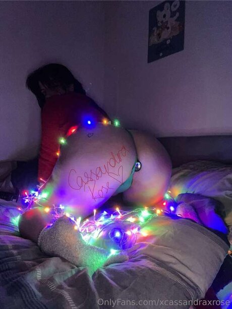 Xcassandraxrose nudes pornstar photo