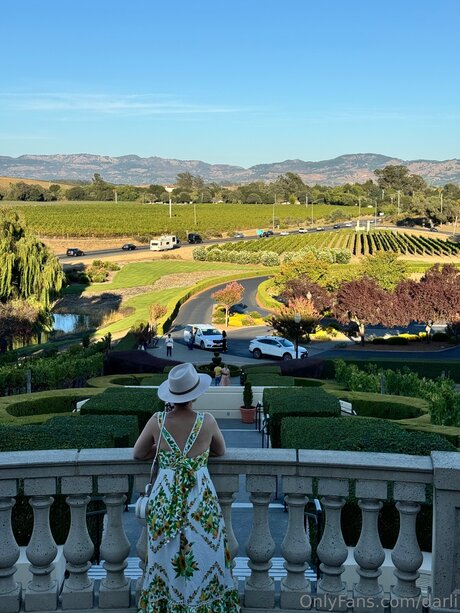 Darli exclusive star img