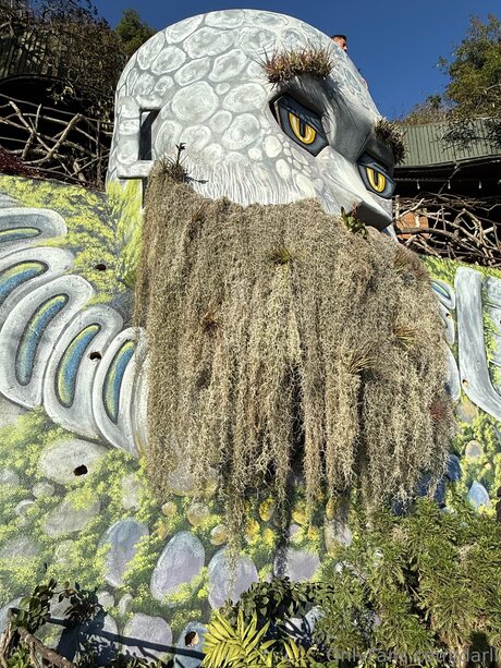 Darli exclusive actress picture