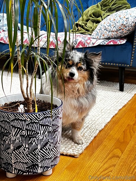 Darli nice model photos