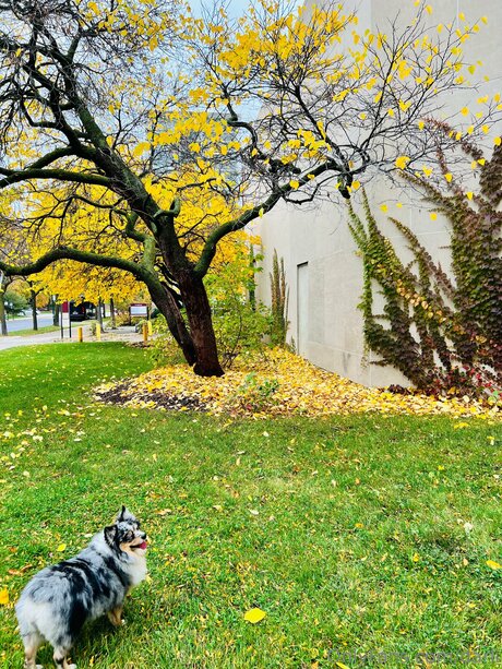 Darli star pretty gallery