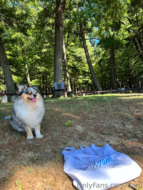 Darli pornstar nudes archive