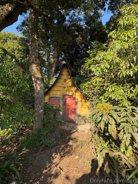 Darli beautiful model pictures