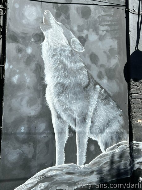 Darli star beautiful pics