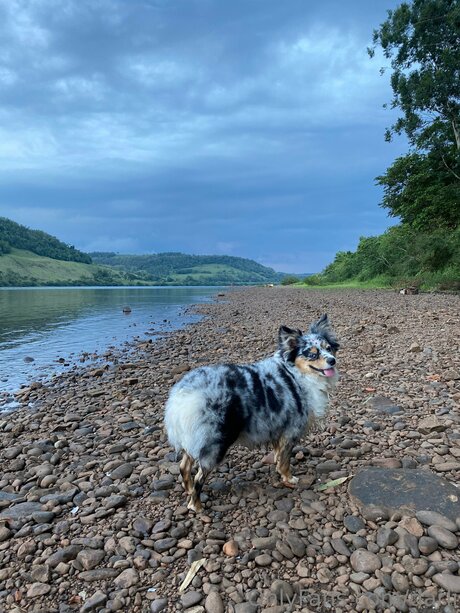 Darli best model images