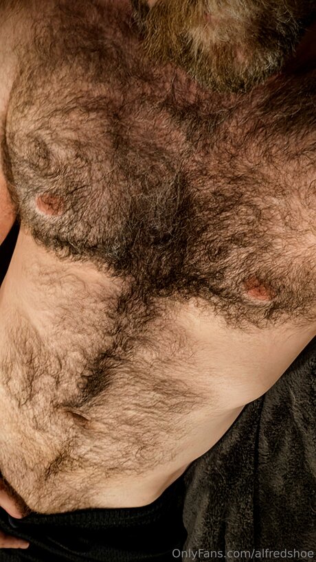 Alfredshoe pornstar free images