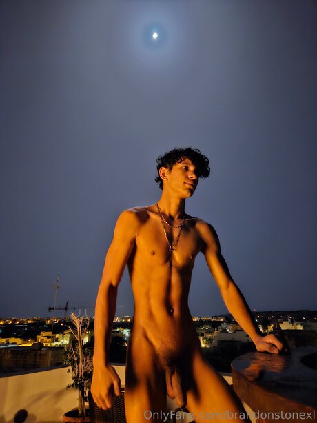 Brandonstonexl star art pic