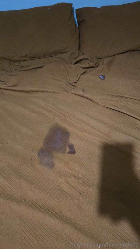 Harley69699 model high quality images