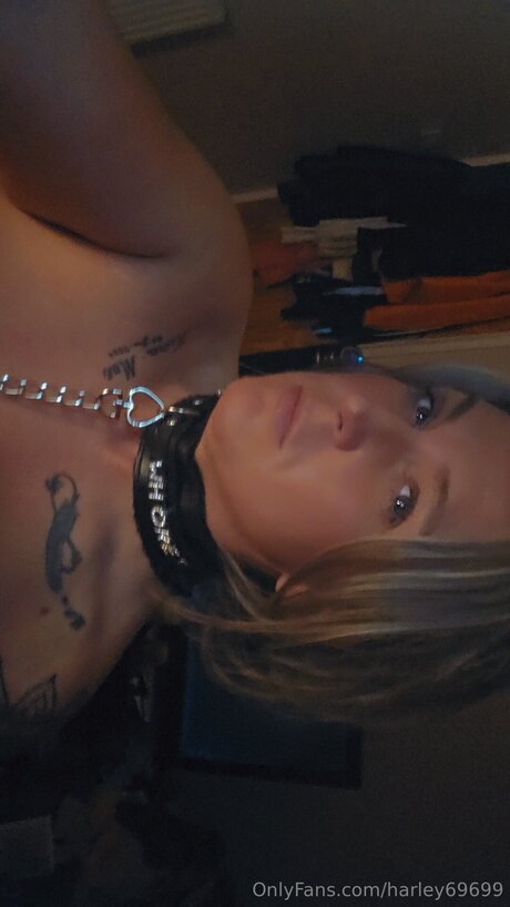 Harley69699 pornstar art pictures