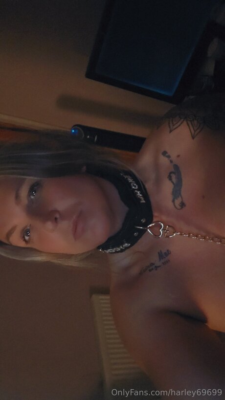 Harley69699 adult star image