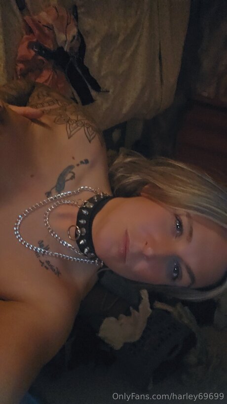 Harley69699 star pornographic archive