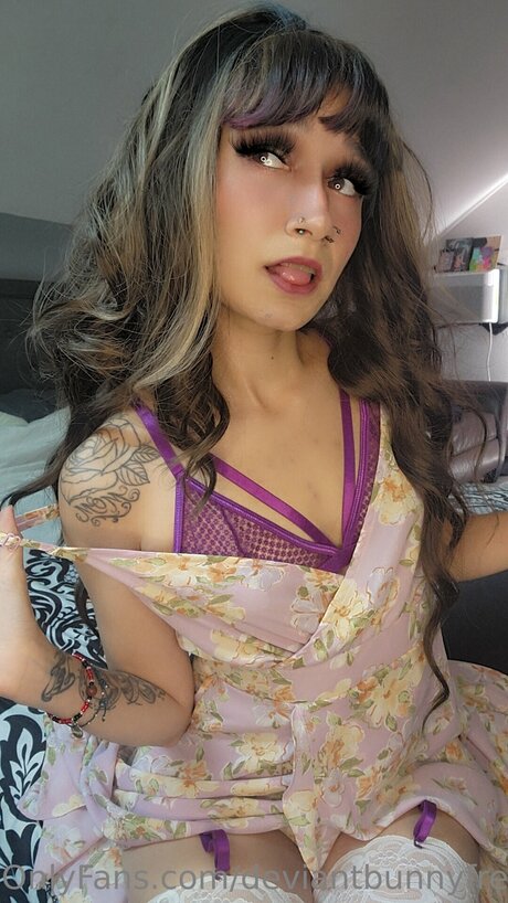 Deviantbunnyfree free star gallery