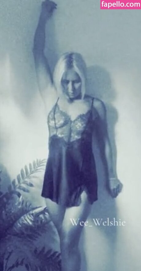 Wee welshie star hot pics